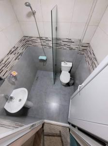 博尔若米Family house的浴室配有卫生间、盥洗盆和淋浴。
