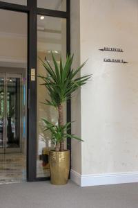 沙巴茨Garni hotel BARUT的一座楼前金盆里的植物