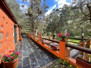 FirgasCasa Rural en medio del bosque, El Lance的 ⁇ 上种有盆栽植物的阳台