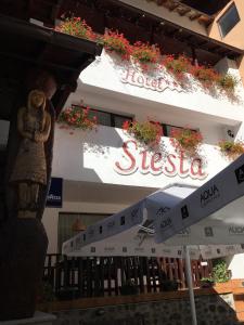 CumpănaHotel-Restaurant Siesta Balea的建筑物一侧有标志的商店