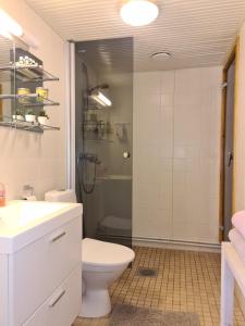 萨利色尔卡Apartment Seutu的带淋浴、卫生间和盥洗盆的浴室