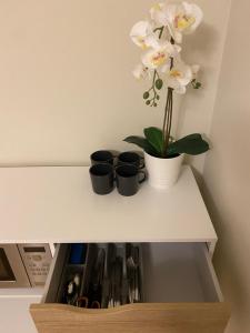 派尔努Lovely Aisa studio in Pärnu的一个带三个黑杯子的架子,一个花瓶,上面有白色的花
