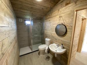 BredonThe Paddock的浴室配有卫生间、淋浴和盥洗盆。