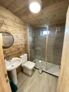 BredonThe Paddock的浴室配有卫生间、淋浴和盥洗盆。