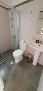 耶奥伊乌波利斯Irini Studios的浴室配有卫生间、淋浴和盥洗盆。