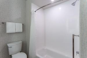 Loves Park罗克福德洛芙斯公园快捷假日酒店的白色的浴室设有卫生间和淋浴。
