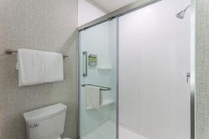 Loves Park罗克福德洛芙斯公园快捷假日酒店的一间带卫生间和玻璃淋浴间的浴室