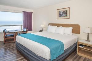 林肯市Seahorse Oceanfront Lodging的配有一张床、一张书桌和一扇窗户的酒店客房