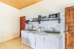 曼努埃尔安东尼奥Villas de la Selva的厨房配有水槽和微波炉