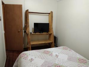 皮斯科艾齐多纳爱玛旅馆的一间卧室配有一张床和椅子上的电视