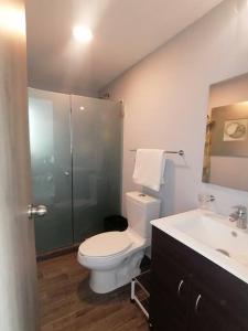 墨西哥城Apartamento cerca de Centro CitiBanamex的浴室配有卫生间、淋浴和盥洗盆。