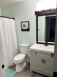 大白山Bearcub Chalet的一间带卫生间、水槽和镜子的浴室