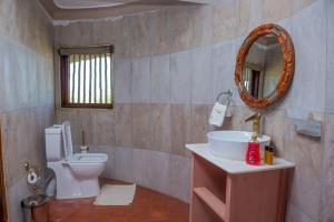 AruaTilenga Safari Lodge的一间带卫生间、水槽和镜子的浴室