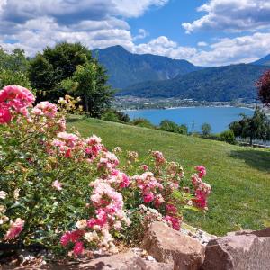 Tenna AGRITUR SEDICI - Bed and Breakfast的花田,享有湖景