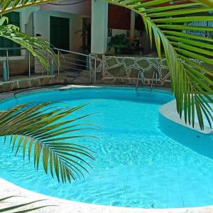 蒙巴萨Merry Villa Hotel & Apartments的前方的蓝色游泳池,棕榈树