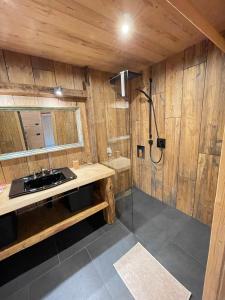普雷达佐Villa Bosca - Adults Only的一间带水槽和淋浴的浴室