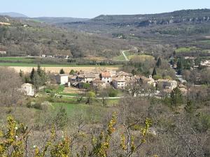 Saint-Martin-de-CastillonLa Boissetane, maison provençale avec piscine et jardin, au pied du Luberon的山丘上的一个村庄,有房子和树木