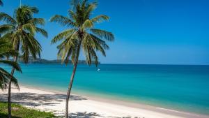 皮皮岛SAii Phi Phi Island Village的棕榈树海滩和海洋