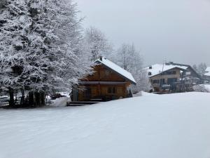 BoutxCHALET 6 PERSONNES SUR PISTE的雪覆盖的小木屋,积雪