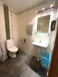 耶夫勒阿尔德霍尔曼酒店的一间带卫生间和水槽的浴室