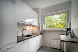 巴登-巴登Blue Sky Apart Center Baden-Baden的白色的厨房设有水槽和窗户
