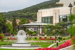 阿然德洛维克A Hoteli - Hotel Izvor的建筑物前公园的喷泉