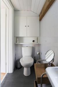 韦德布里奇Hawk's Nest的一间带卫生间、水槽和镜子的浴室