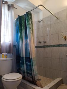 Dickenson BayHoliday Home Belvedere的一间带卫生间和淋浴帘的浴室