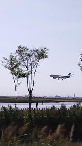 泰塞拉"Fly to Venice" Airport的风筝在天空中飞过一排水面