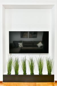 塞萨洛尼基Porto Sea View Apartments - Pl Ippodromiou 21的客厅设有四种植物的墙上的电视