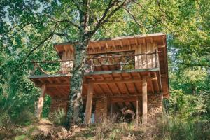 Castelnau-de-MandaillesLake House I // Alauzet Ecolodge + Nature spa的森林中间的树屋