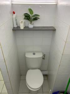 皮特尔角城TRANSIT AFFAIRES - LOISIRS的浴室设有卫生间,架子上种植了植物