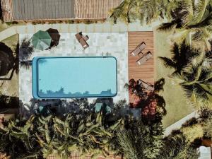 戈亚斯州上帕莱索波萨达瑞坎托格兰达巴斯酒店的享有棕榈树游泳池的顶部景致