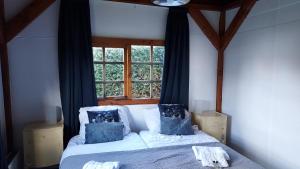 梅登布利克lodge 61 hotel aan het water的一间卧室配有一张带蓝色枕头的床和一扇窗户。