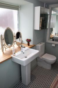温坎顿SEED Hub的一间带水槽、卫生间和镜子的浴室