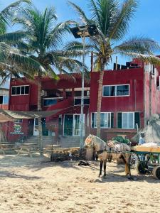 达喀尔La Cabane du Pêcheur Atlantic Evasion的棕榈树海滩上的骆驼和一座建筑