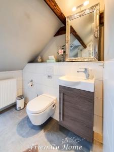 博恩海姆Friendly Home - "Helles Dachstudio" Köln Bonn Phantasialand的一间带卫生间、水槽和镜子的浴室