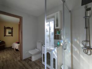 El Real de San VicenteCasa Rural Santa Bárbara的一间带卫生间和玻璃淋浴间的浴室