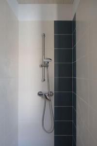 滨海拉库阿尔德Les Maisons de l'Olivette的浴室内配有淋浴和头顶淋浴