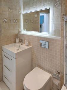 圣恩吉玛Pintelie - für 2-6 Personen的一间带卫生间、水槽和镜子的浴室