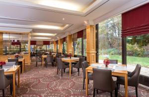 美因河畔法兰克福法兰克福市南莱昂纳多酒店的餐厅设有桌椅和大窗户。