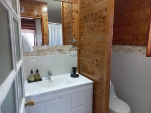 艾森港Cabañas Chaya Mapu的一间带水槽、卫生间和镜子的浴室