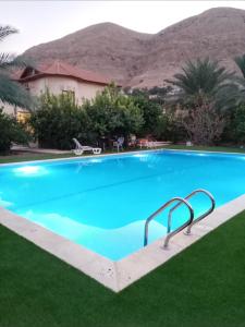 杰里科Rimal Villas فلل الرمال的一个大蓝色游泳池,背景是一座山