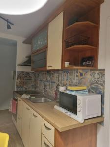 锡萨克Studio Apartman Bojana 34m2,free wifi,parking的厨房的台面上配有微波炉