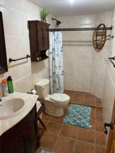奥拉涅斯塔德Barrel House Suite St Eustatius的一间带卫生间和水槽的浴室