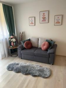 奥格斯堡Lilis Apartment mit Balkon的客厅配有带枕头的灰色沙发