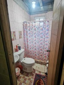 El QuijeLa Yeguada - Forest Point Cabin的一间带卫生间和淋浴帘的浴室