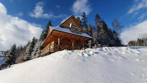 新塔尔格Domek w górach pod Jodłami的小木屋前面有一堆积雪