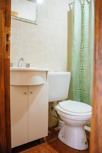 伊图萨因戈Cabañas Los Timbó的浴室配有卫生间、盥洗盆和淋浴。