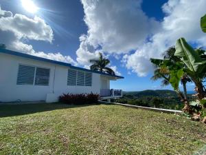 卢基约Million dollar view in Puerto Rico的蓝色屋顶的白色房子